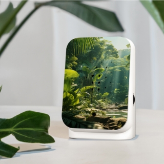 Relaxound Lakesidebox Modell „Waldsee“